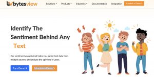 BytesView Sentiment analysis tool