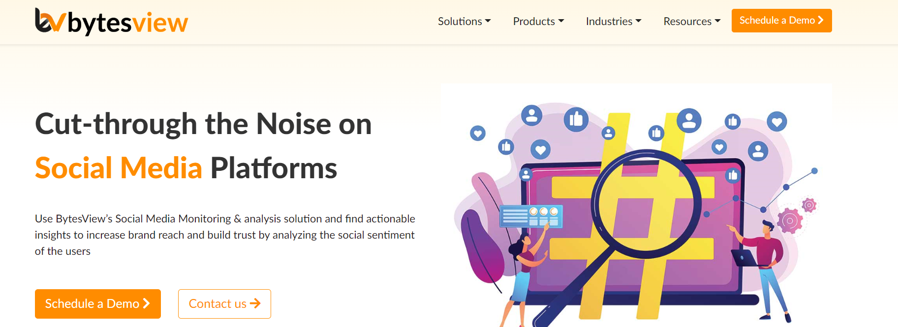 Bytesview's platform